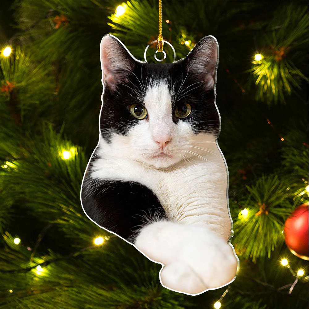 Custom Photo Pet Christmas - Personalized Custom Acrylic Ornament - Image 4