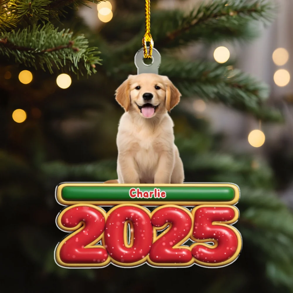 My Pet Is Here Photo - Personalized Custom Acrylic Ornament - Image 5