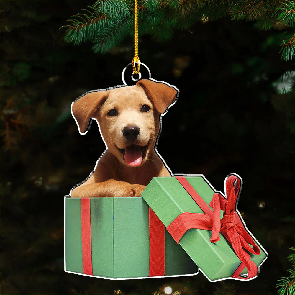 Special Christmas Gift - Personalized Custom Acrylic Ornament - Image 5
