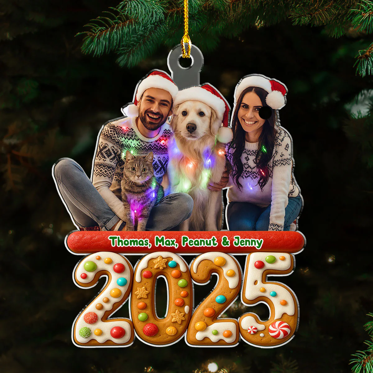 We And Our Pet Version 3 Photo - Personalized Custom Acrylic Ornament - Image 2