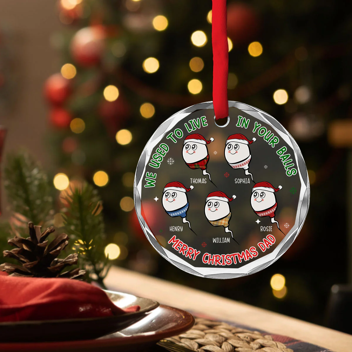 We Used To Live In Your Balls - Personalized Custom Glass Ornament - Image 2