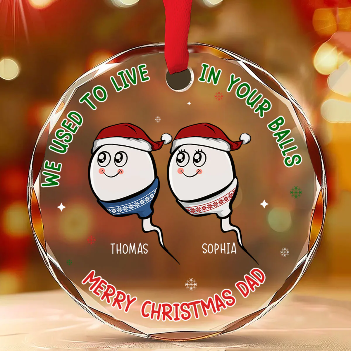 We Used To Live In Your Balls - Personalized Custom Glass Ornament - Image 3
