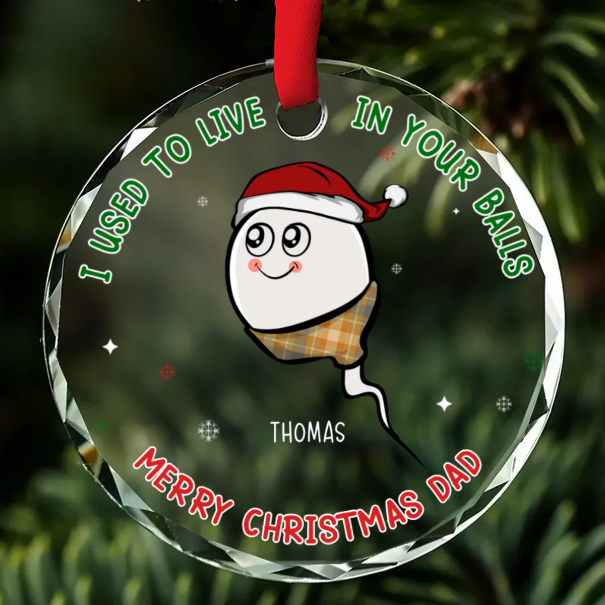 We Used To Live In Your Balls - Personalized Custom Glass Ornament - Image 6