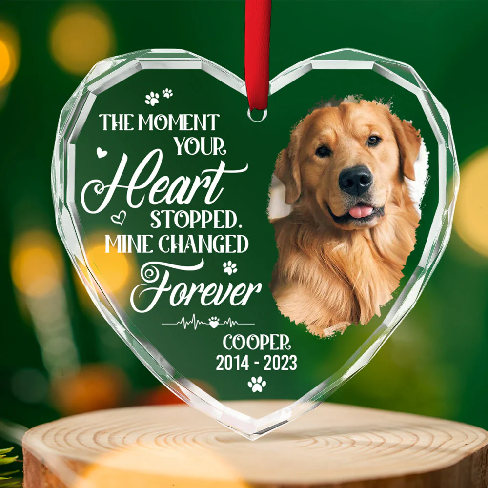 You Would Have Lived Forever - Personalized Custom Glass Ornament - Image 5
